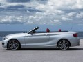 BMW Designer Karim Habib on Making a Boxier 2-Series Convertible