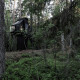 Polestar brings to life KOJA micro tree house project - Image 10